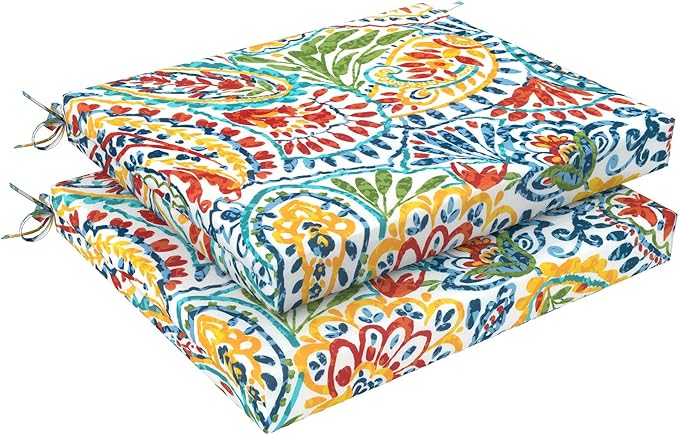 LVTXIII Outdoor Chair Cushions, Fade-Resistant Patio Furniture Cushions Outdoor Square Chair Pads with Ties for Dining Chairs and Garden Furniture Decoration, 18.5"x16"x2" Set of 2, Paisley Multi