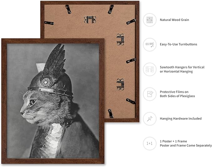Poster Master Vintage Armored Cat