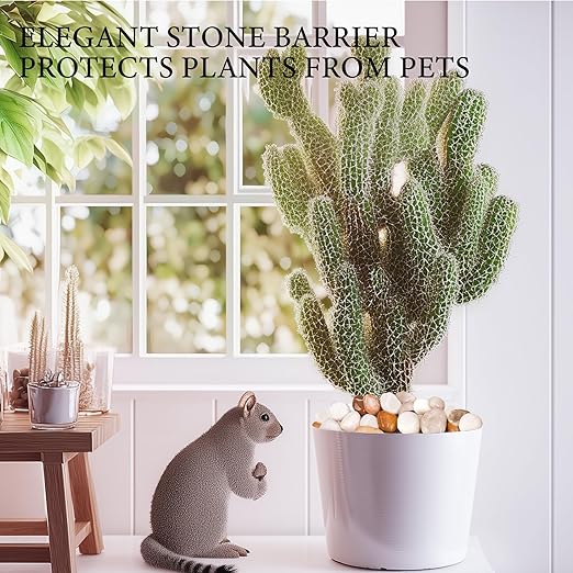 9lb Mix River Rocks for Plants, 1-3 Inch Pebbles for Indoor Plants, Polished Garden Rocks Outdoor Landscaping, Decorative Stones for Vases, Succulents, Aquarium, Walkways