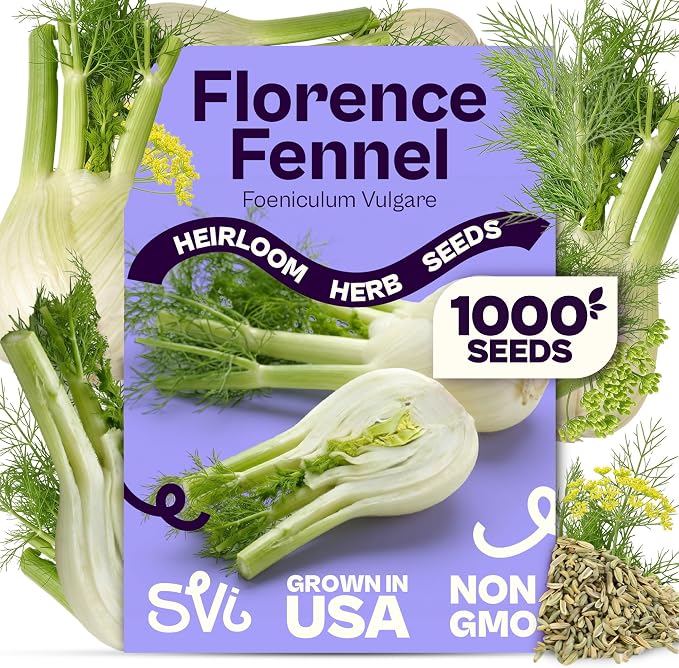 SVI 1000 Florence Fennel Seeds (Foeniculum vulgare) â Sweet Fennel Seed Packets Bulk Natural Herbs â Open Pollinated Heirloom Herb Seeds, Full Sun Outdoor Herb Garden & Indoor Herbs, Containers