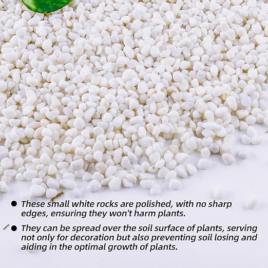 18lb 1/4" Small White Rocks for Plants,Potting,Succulents Aquarium Fish Tank Garden Vases Decorative Pebbles Gravel Rocks Stones
