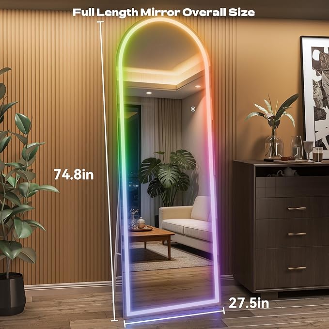 Hasipu Arch Full Length Mirror 75 x 28 in