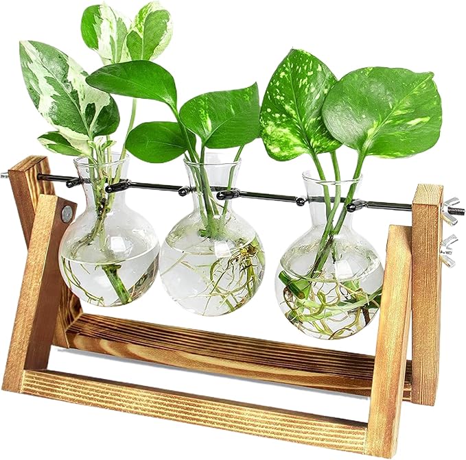 Ivolador I Plant Propagation Station, Bulb Plant Terrarium with Wooden Stand, Unique Gardening Gifts for Women, Hydroponic Indoor Planter, Home Office Garden Wedding Decor - 3 Bulb Glass Vases