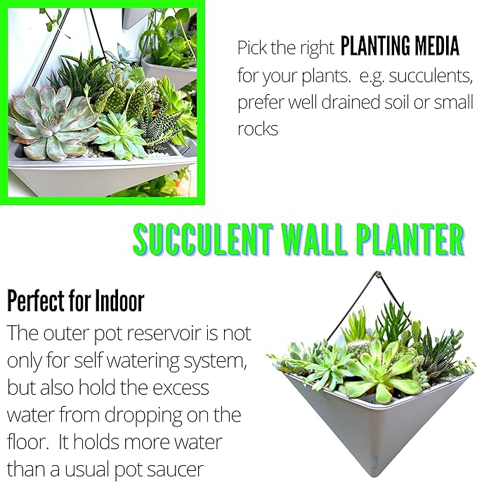 LaLaGreen Wall Planters