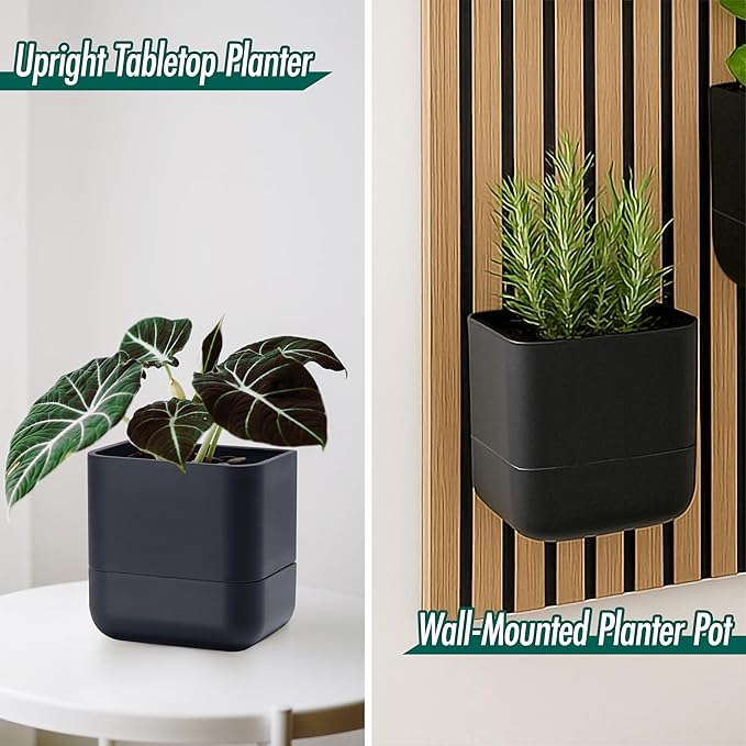 Phoenix Vine 6.5 Inch Wall Mounted Self-Watering Planter Pot