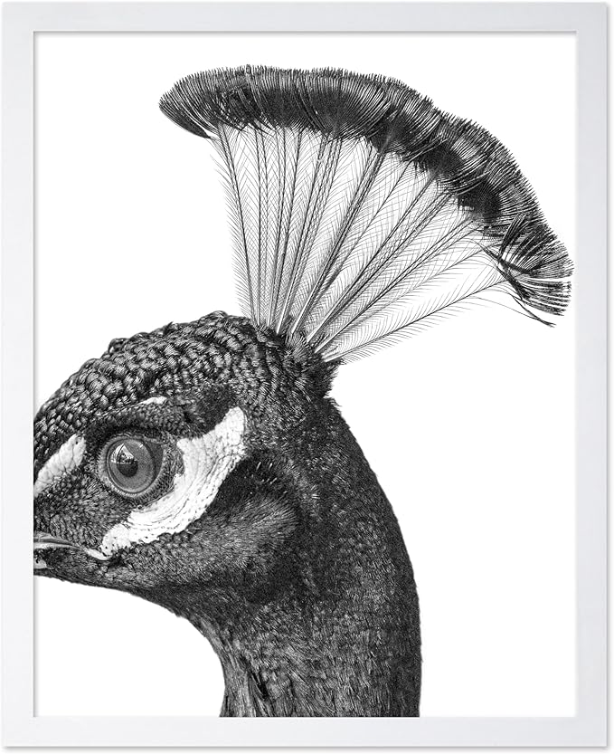 Poster Master Vintage Peacock Poster