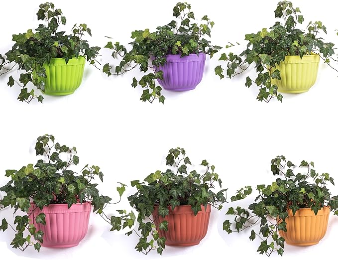 6 Pack Colorful Wall Hanging Planters