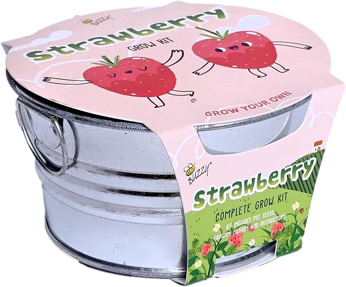 Buzzy Seeds Strawberry Grow Kit - Basin Ceramic Planter - Complete Indoor/Outdoor Gardening Kit with Seeds, Coconut Husk Growing Medium & Genuine Pots - 100% Grow Guarantee