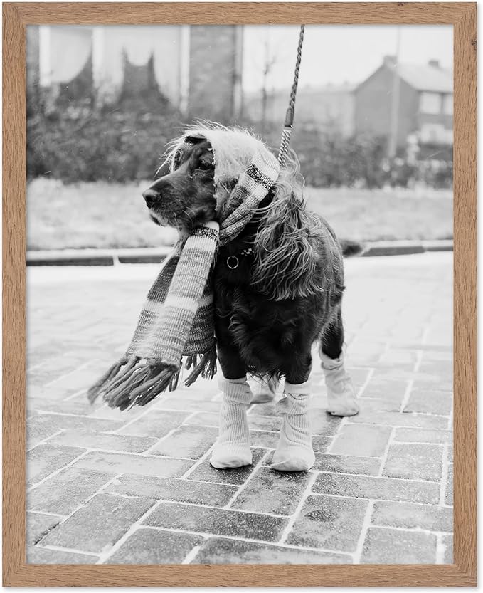 Poster Master Vintage Dog Dressed