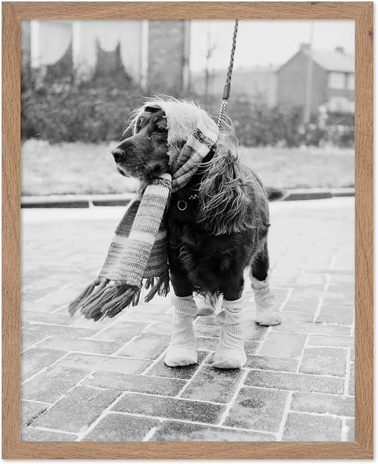 Poster Master Vintage Dog Dressed