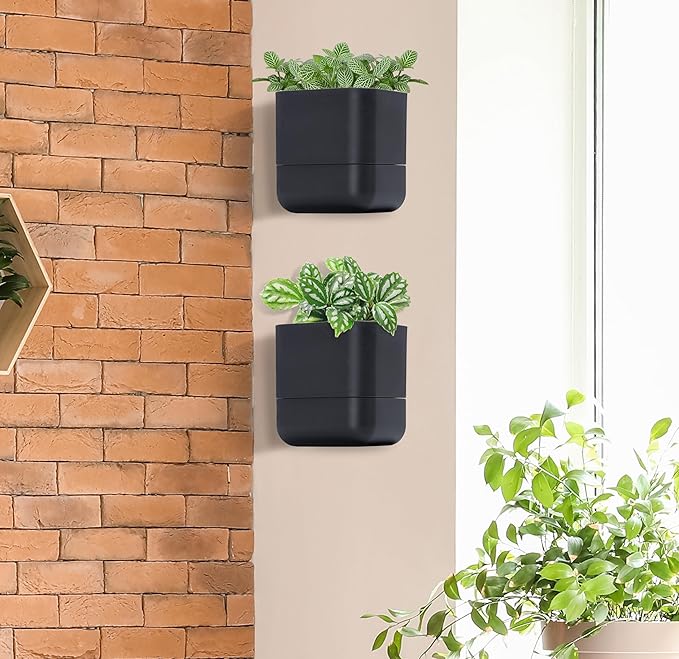 Phoenix Vine 6.5 Inch Wall Mounted Self-Watering Planter Pot
