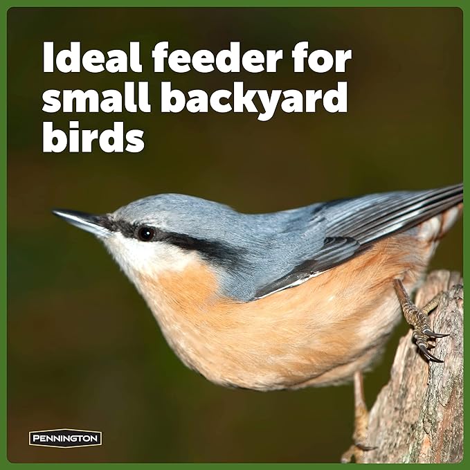 Pennington Songbird Lantern Bird Feeder, Red, 8 inches high 6 inches Wide at top, (100511311) (Pack of 2)