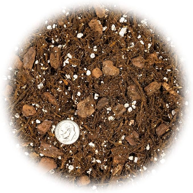 Premium Gardenera House Plant Potting Mix - 10 Quart - Fern + New Zealand Bark + Perlite | Great for Pothos, Spider Plants, Montsera, Philodendron, English Ivy (2 Bags of 5 Quart)