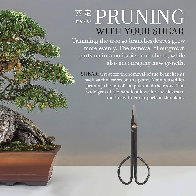 BambooMN 7.2" Black Bonsai Trimming Shear - 10 Pieces