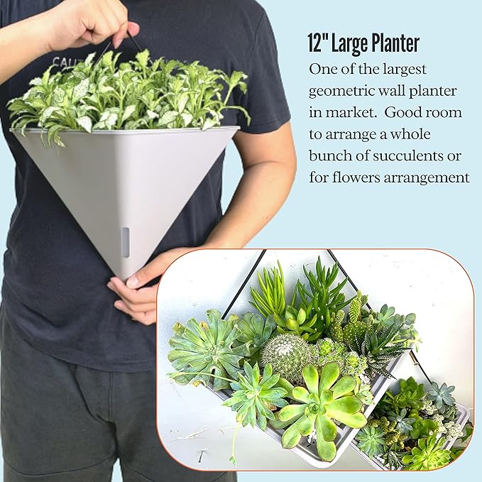 LaLaGreen Wall Planters