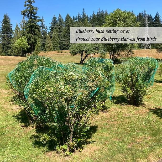 Bird Netting for Garden 6.5X100 FT, 1/4 Inch Mesh, Protect Blueberry, Strawberry, Tomatos, Vegetables. Fruit Tree Netting for Cicadas Against Deers, Squirrels, Bunnies, and Small Critters.