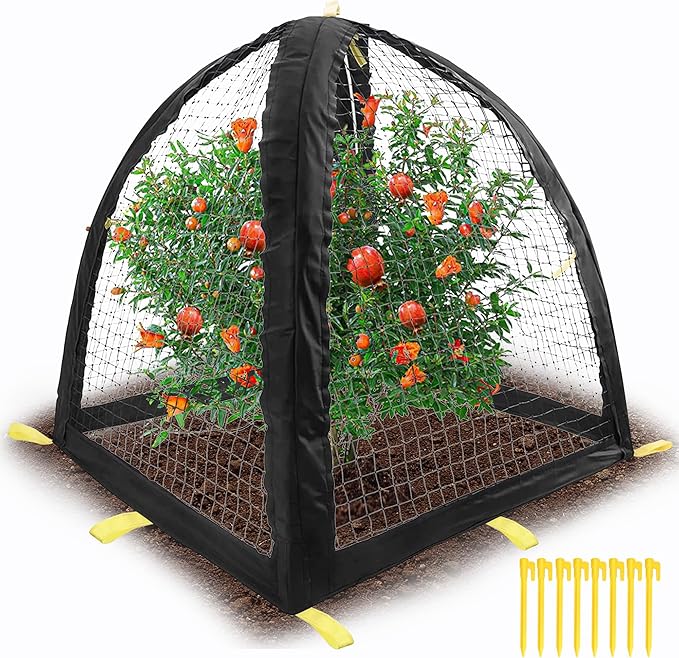 Large Pest Guard Cover-35 x35 x 39 Inch Pest Guard Tent with Stakes-Garden Plants Cloche Tent for Protect Plants Vegetables Fruits Shrubs from Squirrel Bird Eating (L)