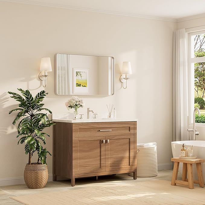 TETOTE Brushed Nickel Bathroom Mirror 40 x 24 Inch