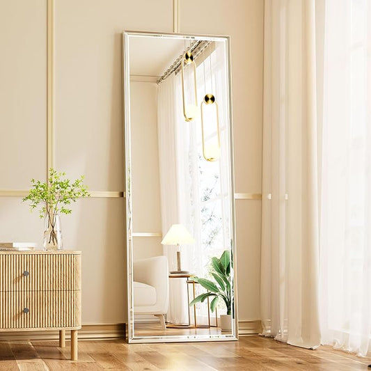 16''x 60'' Tall Brushed Nickel Mirror, Beveled Bathroom Mirror