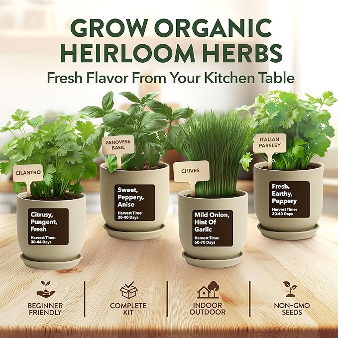 HOME GROWN Bonsai Tree Starter Kit – Unique Christmas Gift for Adults, Men, Women - Grow 4 Bonsais & Indoor Organic Herb Garden Kit – Unique Christmas Gift for Adults, Men, & Women - Grow 4 Herb Seeds
