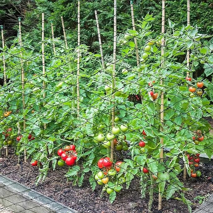 30 x 50 FT Bird Netting for Garden, 1" Square Mesh Size Heavy Duty Nylon Chicken Coop Netting for Blueberry Bushes, Fruit Trees and Vegetable Against Birds, Deer, Squirrels (30X50FT)