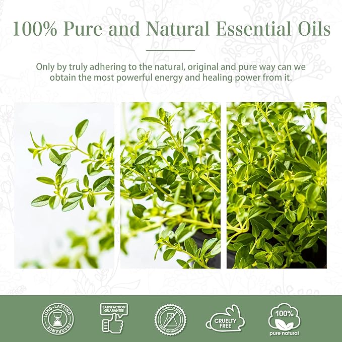 Thyme 3.38fl.oz Essential Oil, PHATOIL Aromatherapy Essential Oils for Diffuser, Humidifier, Perfect for DIY Soap, Candle, Bath Bombs Making(100ml)