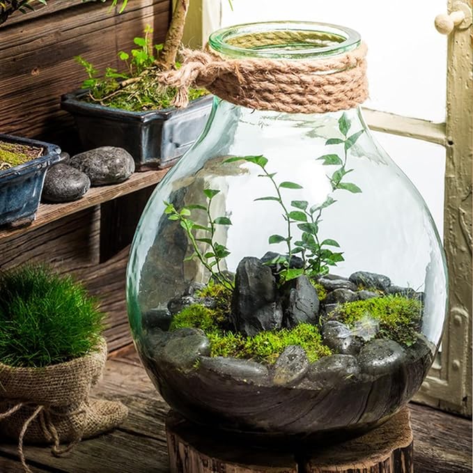 FANTIAN 20 lbs Black River Rocks for Landscaping, 1-2 Inch Decorative Black Pebbles for Indoor Plants, Vase Fillers, Garden, Potted Plant Rocks, Paving, Fountain and Outdoor Decoration Black Stones