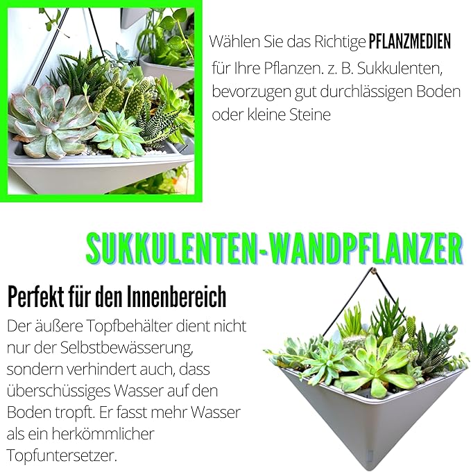 LaLaGreen Wall Planters for Indoor Plants