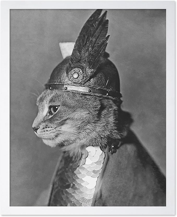 Poster Master Vintage Armored Cat