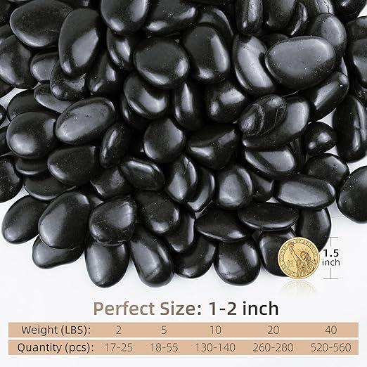 Black River Rocks 20lbs, 1-2Inch Natural Pebbles for Plants, High Polished Decorative Stones for Aquarium Vase Filler Fish Tank Landscaping Garden