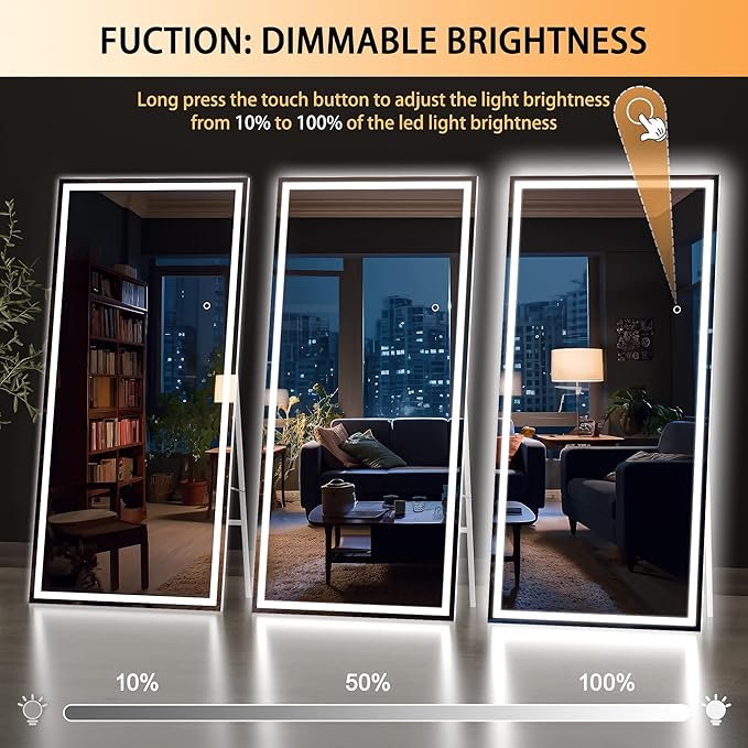 Hasipu Full Length Mirror with Lights, Full Body Dressing Hanging Mounted Mirror
