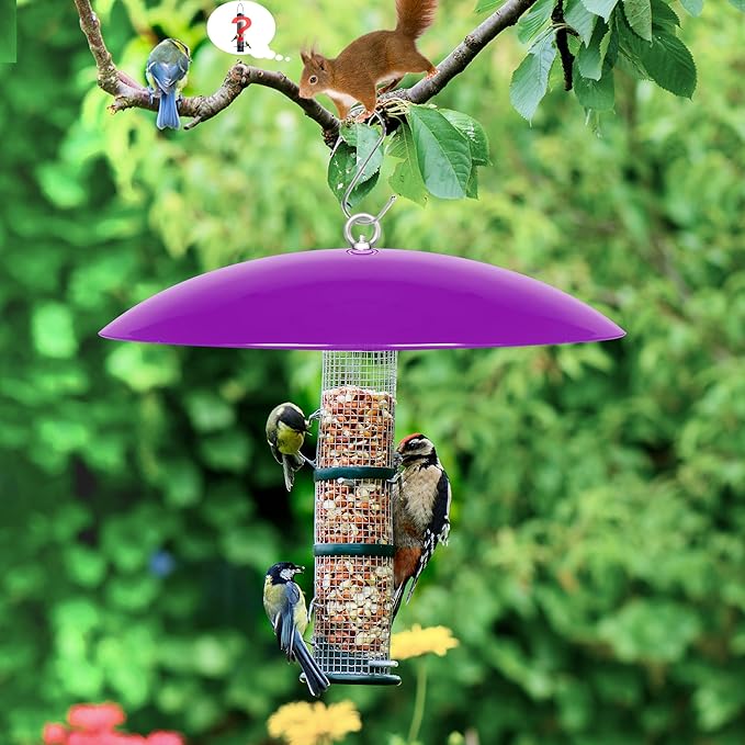 13" Bird Feeder Rain Cover,Bird House Dome,Hummingbird Feeder Guard,Proof for Shepherd's Hook Outdoors,Smart Birds Feeder's Umbrella(Purple), 1Pack