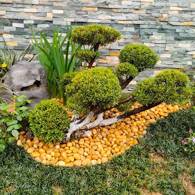 YISZM Rocks for Plant 5lbs, Yellow River Rocks 1-2 Inch Natural Pebbles for Indoor Plants, High Polished Decorative Stones Vase Filler Fish Tank Aquariums Landscaping Garden