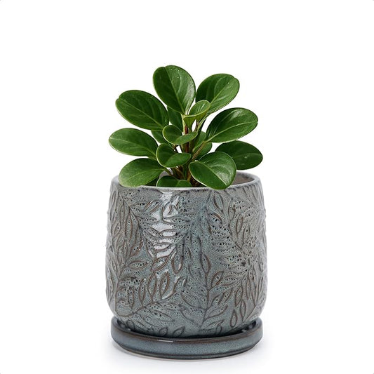 D'vine Dev 4 Inch Embossed Leaves Stoneware Planter Pot with Drainage Hole and Saucer, Graphite Blue, 27-A-Z-9