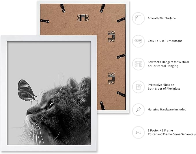 Poster Master Butterfly on Cat Print