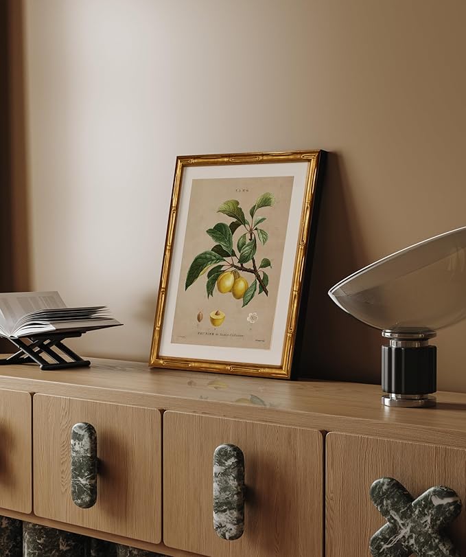 InSimSea Gold Bamboo Framed Canvas Wall Art, Retro Nature Plum Botanical