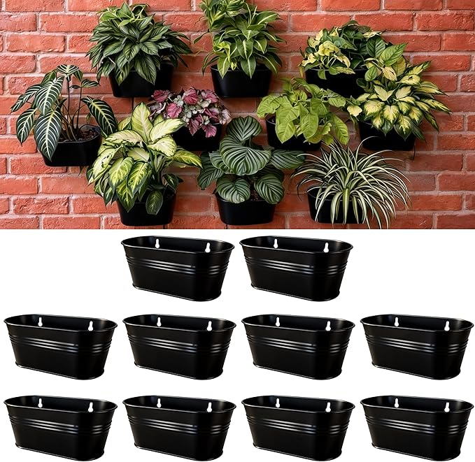 LaLaGreen Wall Planter Black Oval Metal Hanging Decor Plant Holder Wall Planters