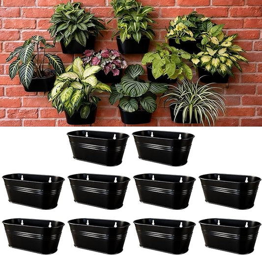 LaLaGreen Wall Planter Black Oval Metal Hanging Decor Plant Holder Wall Planters