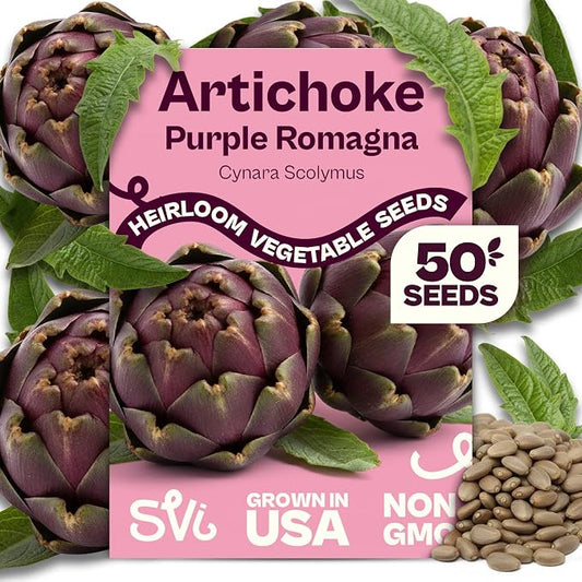 SVI 50 Purple Romagna Artichoke Seeds (Cynara scolymus) â Roman Artichokes Seed Packets, Non GMO Artichoke Vegetable Garden Seed â Heirloom Vegetable Seeds for Outdoor Garden, Containers