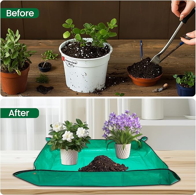GROWNEER Bonsai Pots 3 Packs 11 Inch Bonsai Tree Training Pot with Humidity Drainage Trays & Repotting Mat Rectangle Planter Plants Starter Kit Growing for Garden Yard Office Indoor Outdoor