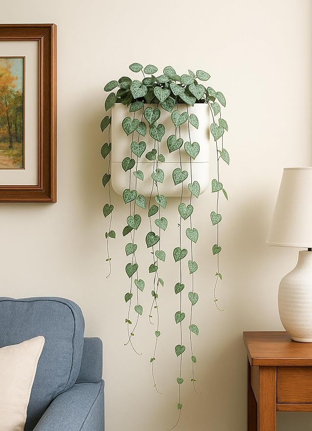 Phoenix Vine 6.5 Inch Wall Mounted Self-Watering Planter Pot