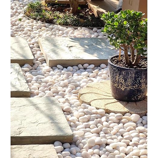 FANTIAN 20 lbs White Pebbles for Indoor Plants, 0.8-1.2 inch Small River Rocks for Plants. Decorative White Stones for Planters Vase Fish Tank and Outdoor Garden Landscaping Rocks