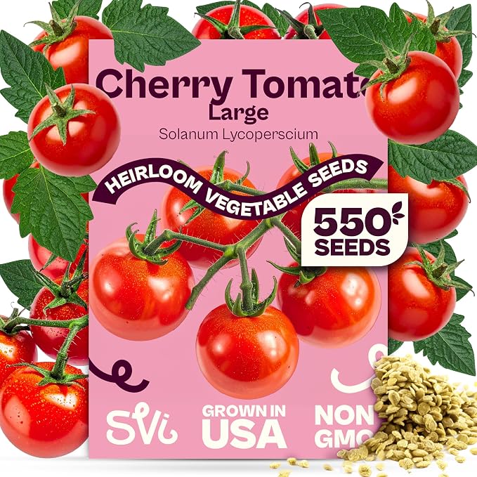 SVI 550 Large Red Cherry Tomato Seeds (Solanum lycoperscium) â Cherry Tomatoes Seed Packets, Mini Tomatoes On The Vine â Heirloom Vegetable Seeds in Home Garden, Containers, Greenhouses