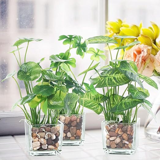 Pulovin 5 Pound Decorative Rocks for Planters, 1"- 1 1/2", Pebbles for Indoor Plants, Vases, Polished Stones for Garden and DIY Decor