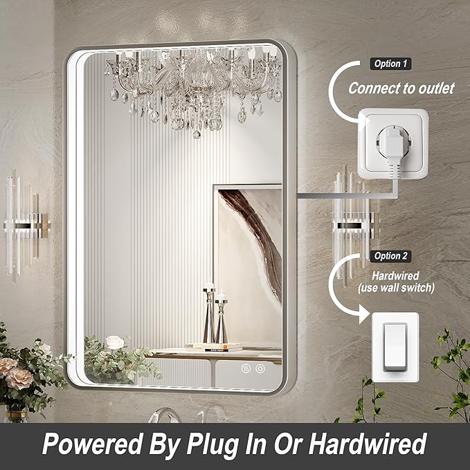 LED Bathroom Mirror with Lights, 20x28 Inch Brushed Silver Framed Lighted