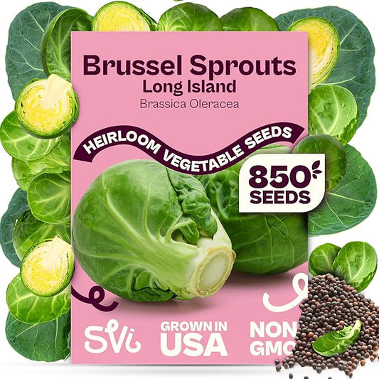 SVI 850 Long Island Brussels Sprouts Seeds (Brassica Oleracea) â Brussel Sprouts Seed Packets, Heirloom Brussel Sprout â Cold Hardy Vegetable Seeds Home Garden, Outdoor Beds, Containers
