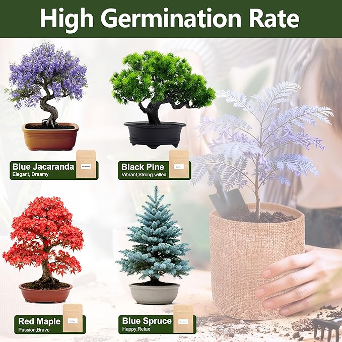 4 Pack Bonsai Tree Kit - 4 Seeds Growing Plant Bonsai Tree Live Kit for Beginners, Easy to Grow Complete Indoor Garden Starter Kits with Wooden Box & Tools, Christmas Gifts for Men Women Plant Lover