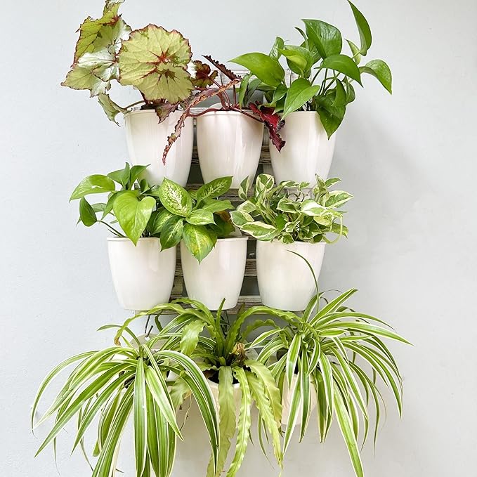 LáLáGreen Wall Planters for Indoor Plants