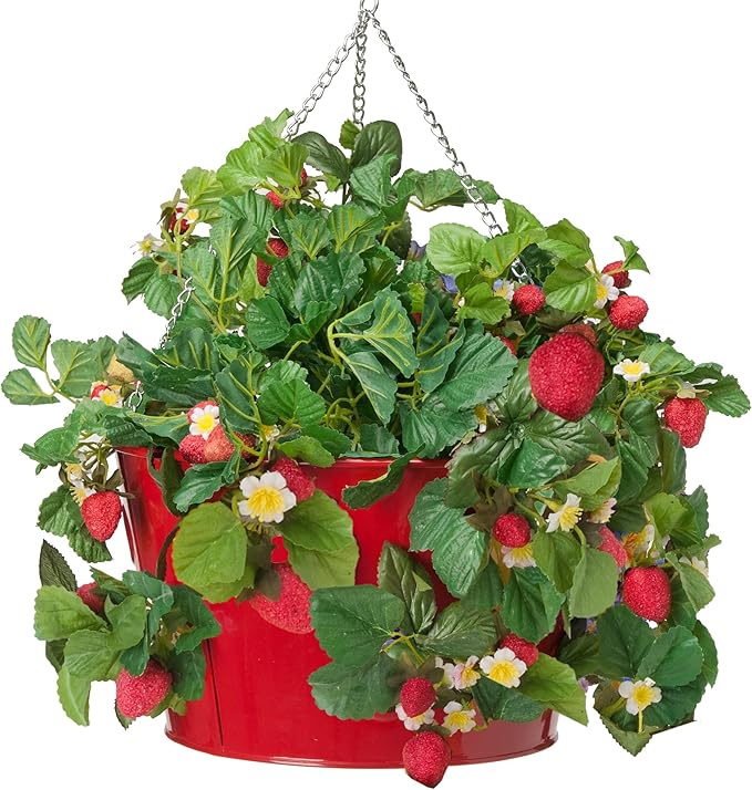HIT 8396E XR Galvanized Hanging Strawberry Herb Floral Planter, Red