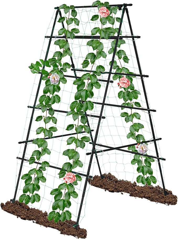 6Ã3 Feet Garden Trellis for Climbing Plants, Kalolary A-Frame Garden Cucumber Grow Trellises Rustproof Metal Potted Plant Climbing Support for Indoor Outdoor Vegetable Fruits Vines Support
